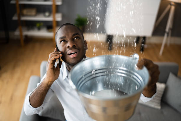 Best Local water damage restoration  in Greenwood Village, CO