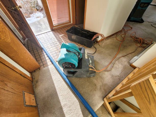 Water damage restoration experts in Greenwood Village, CO