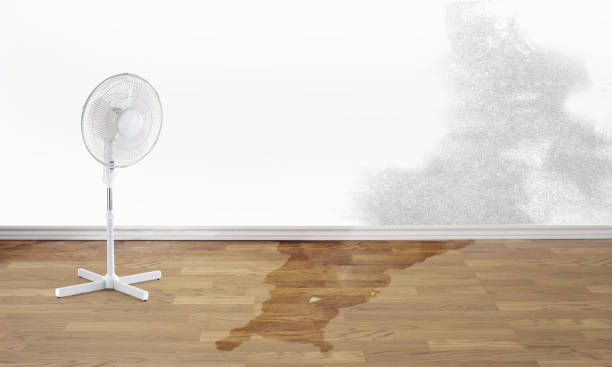 Best Water damage restoration services  in Greenwood Village, CO