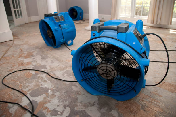 Best Professional water damage repair  in Greenwood Village, CO