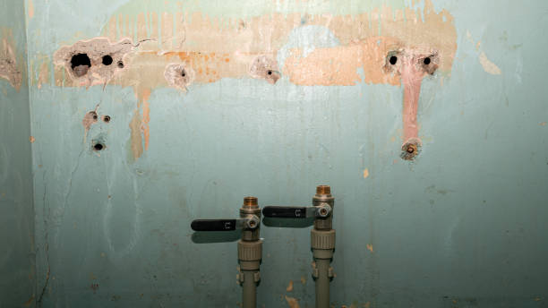 Best Flood restoration services  in Greenwood Village, CO