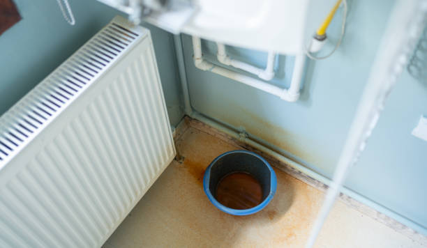 Best Mold removal after water damage  in Greenwood Village, CO